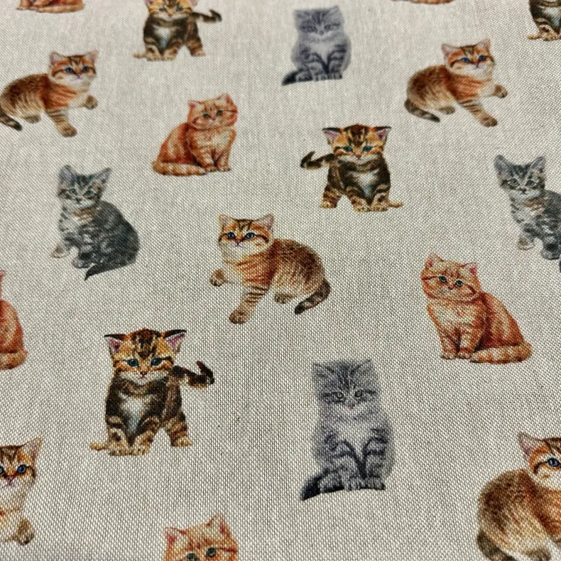 PRE ORDER – Kittens